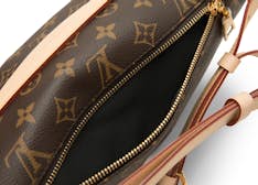 Louis Vuitton Monogram Bumbag