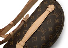 Louis Vuitton Monogram Bumbag