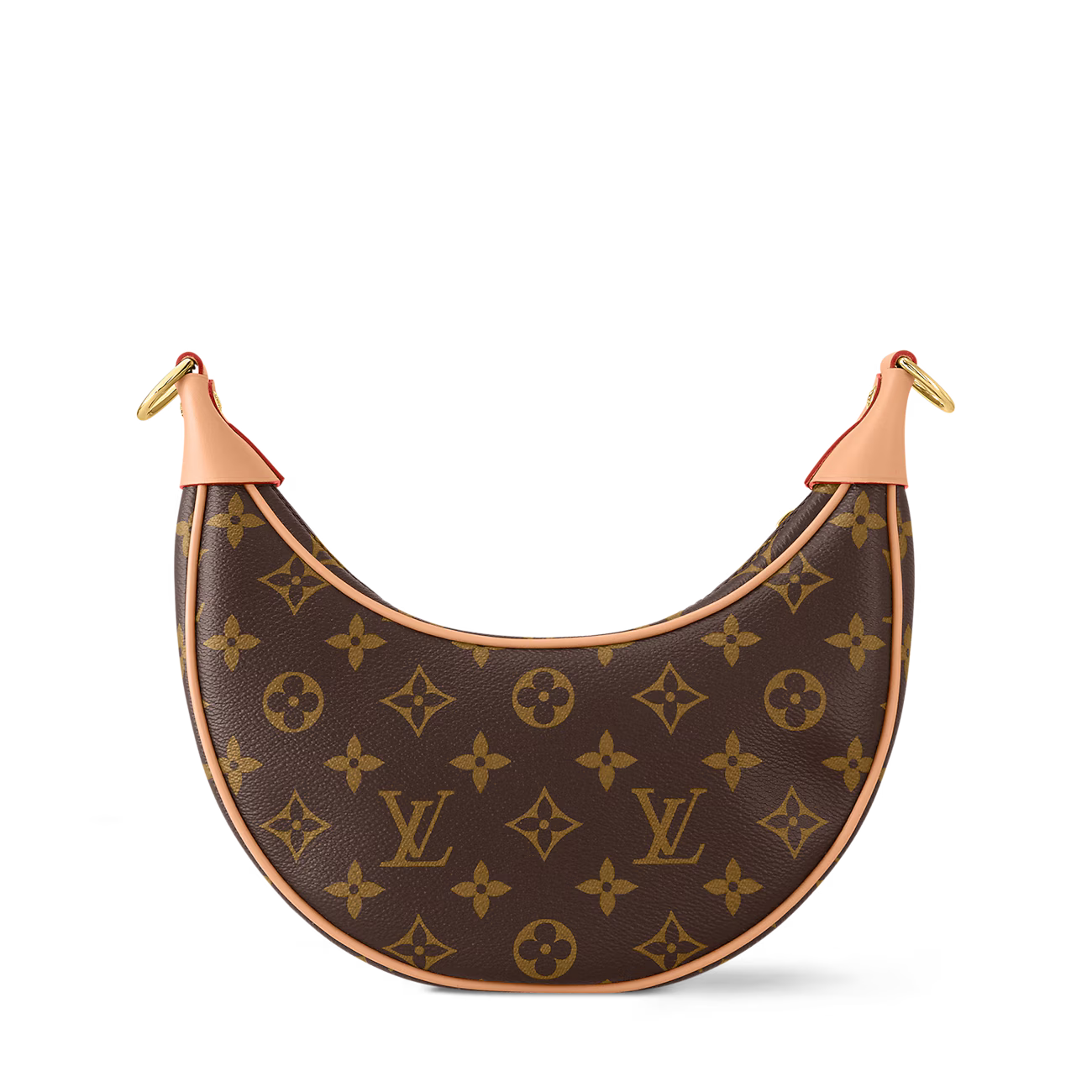 Louis Vuitton Loop Monogram Bag