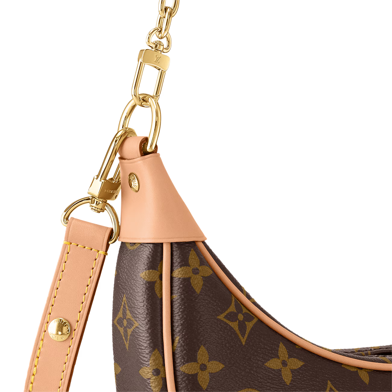 Louis Vuitton Loop Monogram Bag