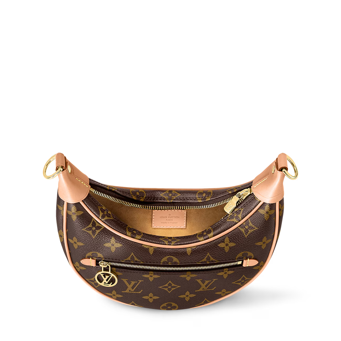 Louis Vuitton Loop Monogram Bag