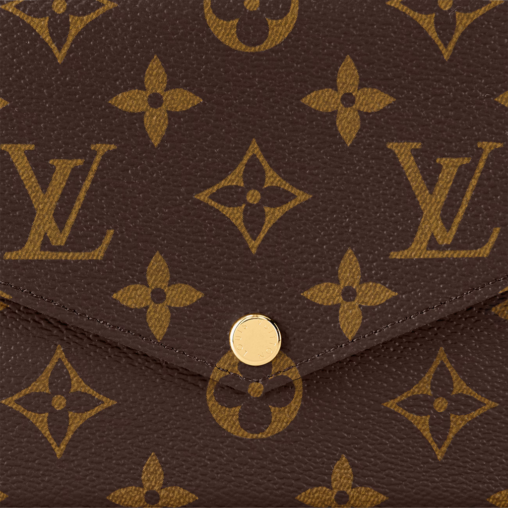 Louis Vuitton Pochette Félicie Monogram