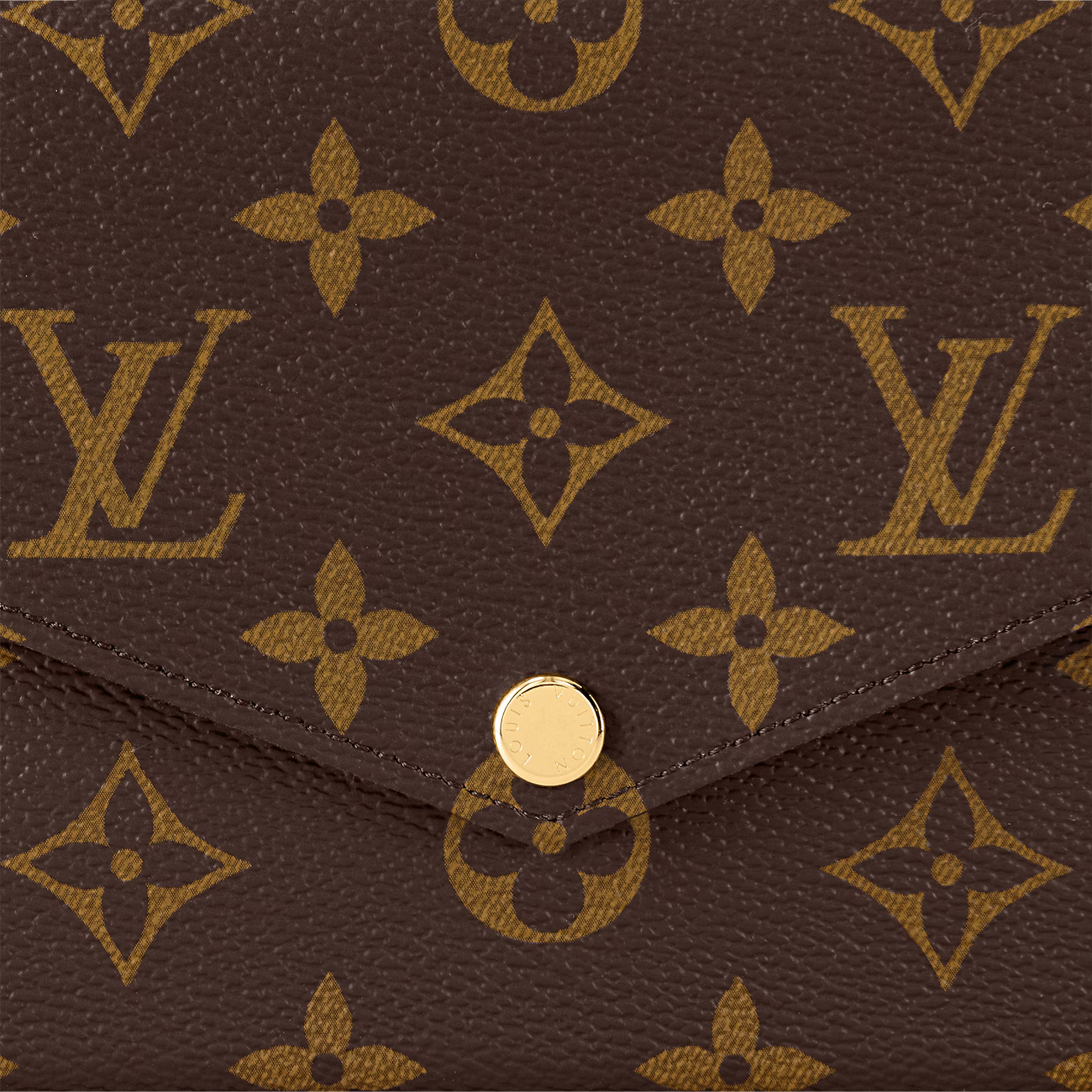 Louis Vuitton Pochette Félicie Monogram